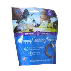 N-Bone Puppy Teething Ring - Pumpkin Flavor Health Products