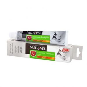 Nutri-Vet Enzymatic Toothpaste for Dogs Health Products