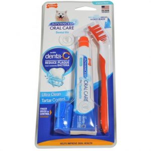 Nylabone Advanced Oral Care Adult Dog Dental Kit Health Products