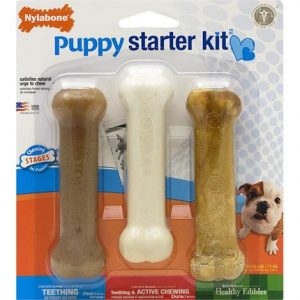 Nylabone Puppy Starter Kit Health Products