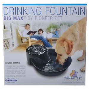 Pioneer Big Max Ceramic Drinking Fountain - Black Health Products