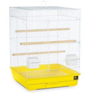 Prevue Cockatiel Cage Health Products