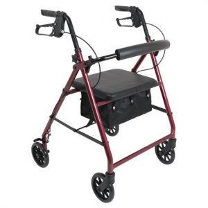 ProBasics Aluminum Rollator with Six Inch Wheels Health Products