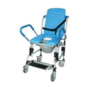 Provider Prevail Mobile Commode Chair Health Products