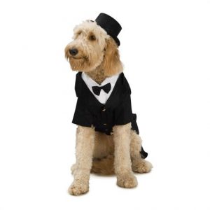 Rubies Dapper Dog Tuxedo Costume Health Products