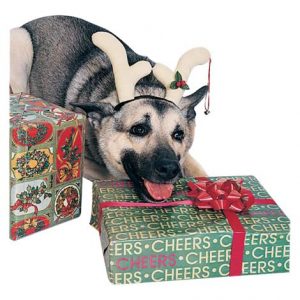 Rubies Dog Reindeer Antlers Health Products