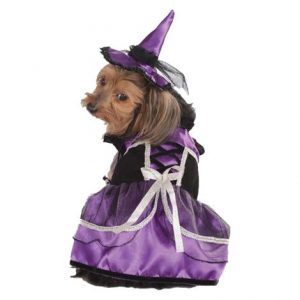 Rubies Purple Witch Costume Health Products