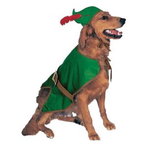 Rubies Robin Hood Costume Health Products