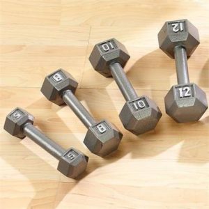 Sammons Preston Standard Hex Dumbbells Health Products