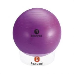 Stability Ball Stacker Health Products