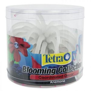 Tetra Blooming Collection Coordinated D?cor Anemone Health Products