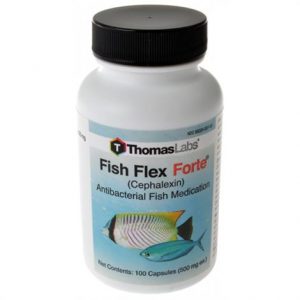 Thomas Labs - Fish Flex Forte Health Products