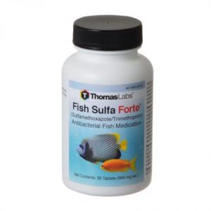 Thomas Labs Fish Sulfa Forte Health Products