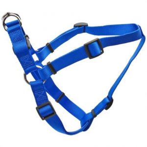 Tuff Collar Nylon Adjustable - Blue Health Products