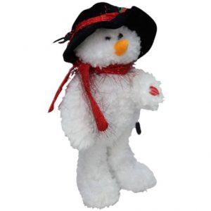 Walter The Dancing Snowman Health Products