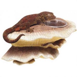 Zilla Mushroom Feeding Ledge Reptile Decor Health Products