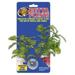 Zoo Med Aquatic Betta Plants - Window Leaf Plant Health Products