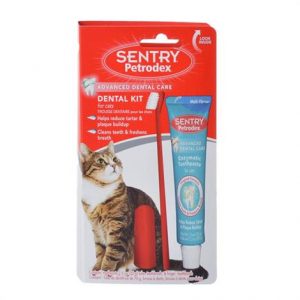 rodex Dental Kit for Cats with Enzymatic Toothpaste Health Products